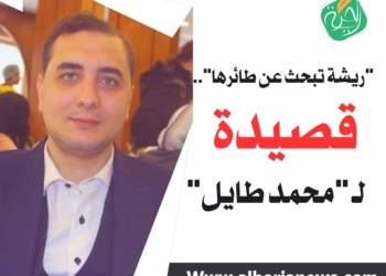 الشاعر محمد طايل