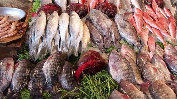 أسعار الأسماك والجمبري اليوم الأربعاء 6 أغسطس