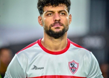 مصطفى شلبي