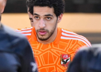 مصطفى شوبير