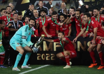 محمد الشناوي