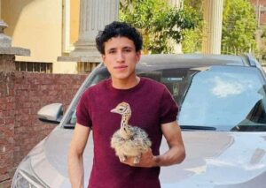 يوسف العدلي أصغر مربي نعام 