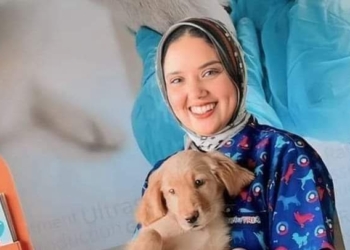 تسنيم بسطاوي