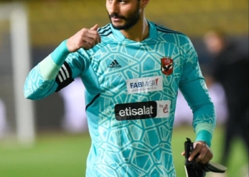 محمد الشناوي