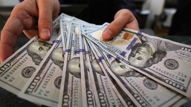 استقرار أسعار الدولار بالبنوك المصرية