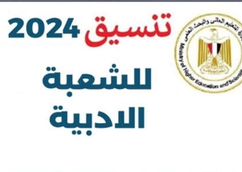 تنسيق الشعبة الأدبية