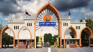 جامعة جنوب الوادى الأهلية