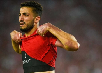محمد عبد المنعم