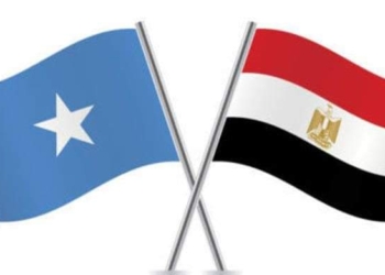 علم مصر والصومال