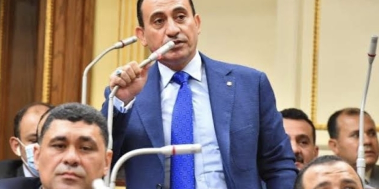 النائب محمد زين الدين