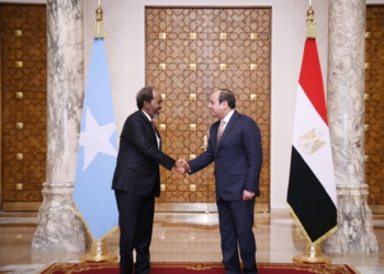 الرئيس السيسي ونظيره الصومالي