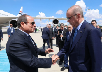 الرئيس السيسي وأردوغان