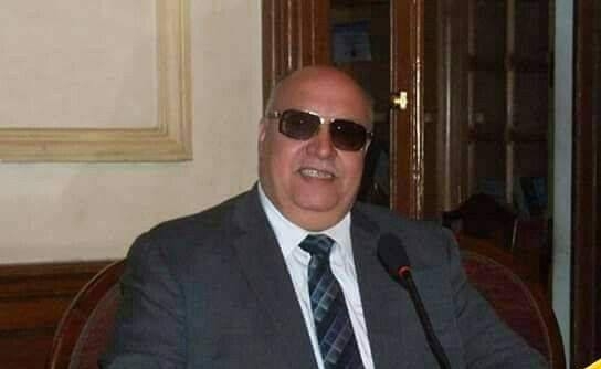 محمود سيف النصر