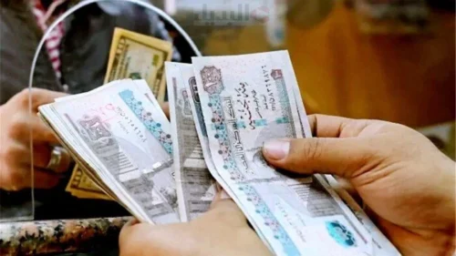 الشهادات المتاحة في البنك الأهلي المصري الآن بأعلى عائد
