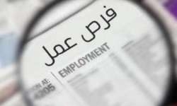 وظائف جامعة السادات 2025