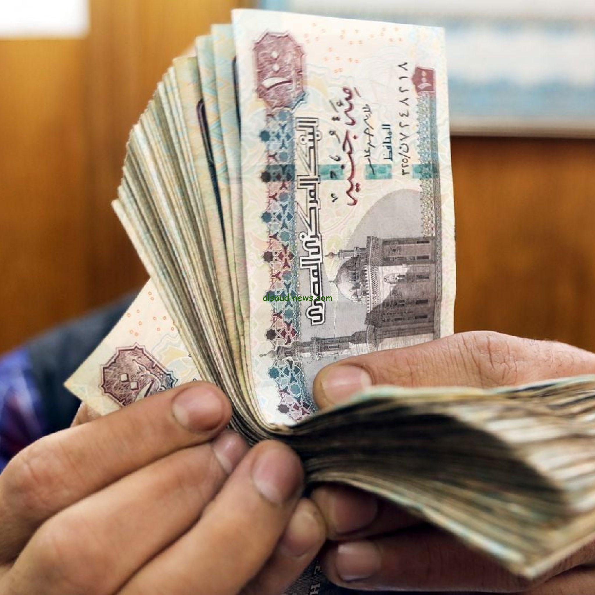مرتبات ومعاشات شهر نوفمبر 2024 بعد الزيادة