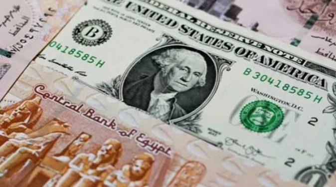 سعر الدولار مقابل الجنيه المصري اليوم