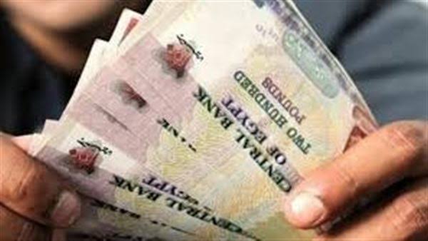 مفاجاة في مرتبات العاملين في مصر