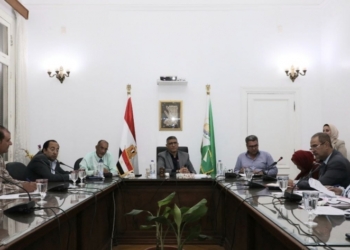 محافظ الجيزة