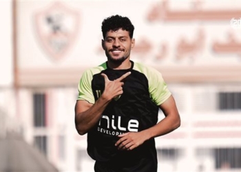 مصطفي شلبي