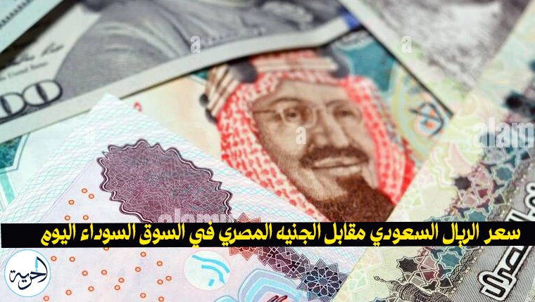 سعر الريال السعودي مقابل الجنيه المصري في السوق السوداء اليوم الإثنين 11 نوفمبر - موقع الحرية