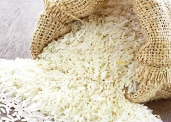 الأرز رفيع الحبة