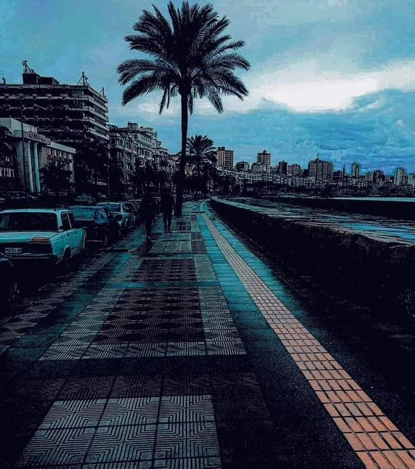 حالة الطقس في الإسكندرية اليوم
