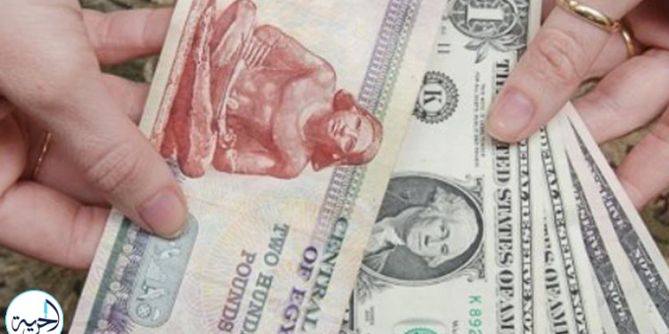 سعر الدولار اليوم 17-5-2025 أمام الجنيه المصري