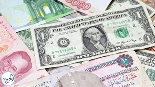 سعر الدولار مقابل الجنيه المصري اليوم الأربعاء 13 نوفمبر 