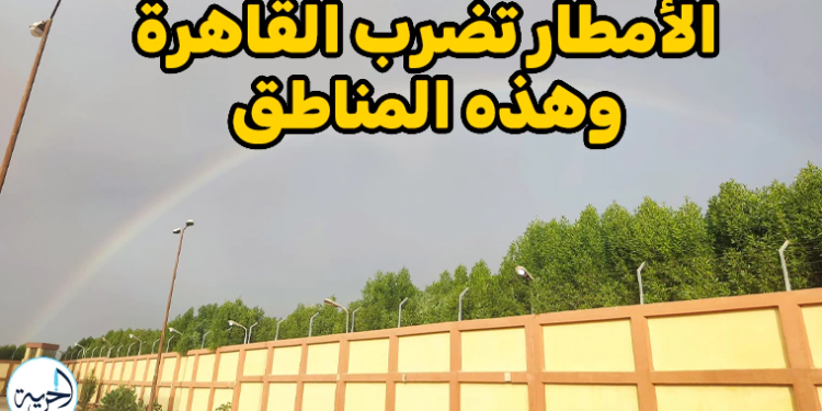 حالة الطقس في القاهرة