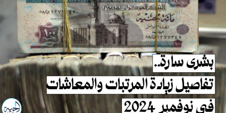 زيادة المرتبات والمعاشات خلال شهر نوفمبر الجاري 2024