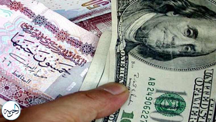 سعر الدولار مقابل الجنيه المصري اليوم
