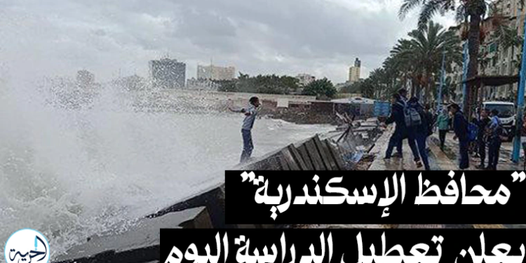 محافظ الإسكندرية يعلن تعطيل الدراسة اليوم