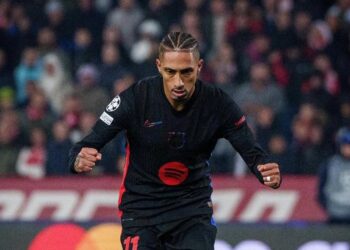 رافينها البرازيلي