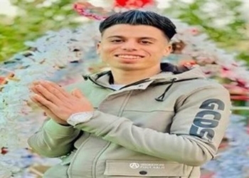 عريس البراجيل