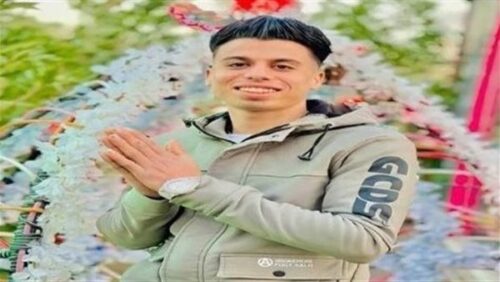 عريس البراجيل 