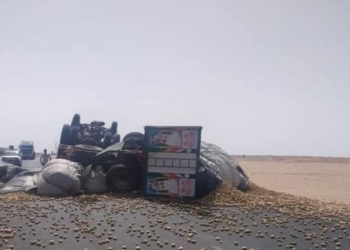 انقلاب سيارة بطاطس في المنيا