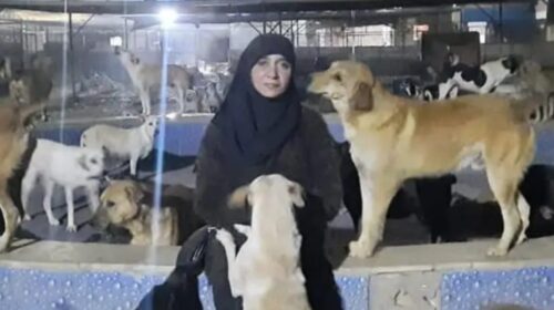 السيدة نوهير ضحية حريق شقة المنيل 