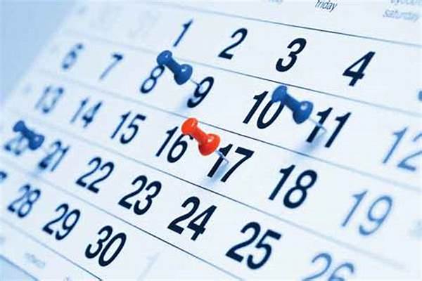  موعد الإجازات الرسمية خلال شهر يناير 2025