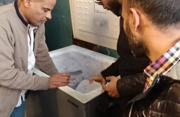 محافظ الجيزة يكشف لحوم فاسدة