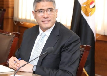 محافظ الجيزة
