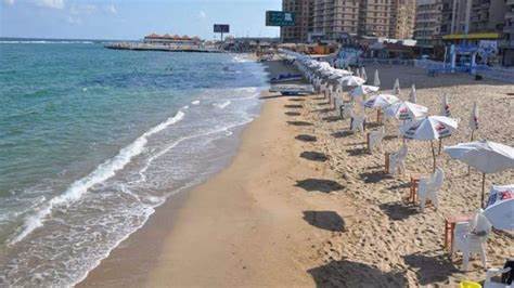 إسكندرية تشهد طقسًا لطيفًا 