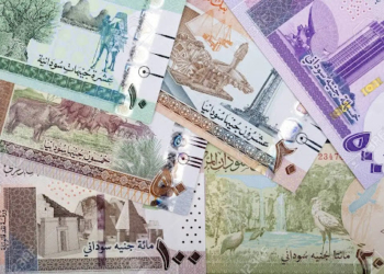تابع آخر تحديثات سعر الجنيه السوداني لعام 2024، مع تحليل للأسباب والتوقعات المستقبلية للتغيرات الاقتصادية المؤثرة.