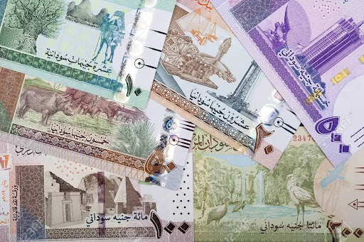 تابع آخر تحديثات سعر الجنيه السوداني لعام 2024، مع تحليل للأسباب والتوقعات المستقبلية للتغيرات الاقتصادية المؤثرة.