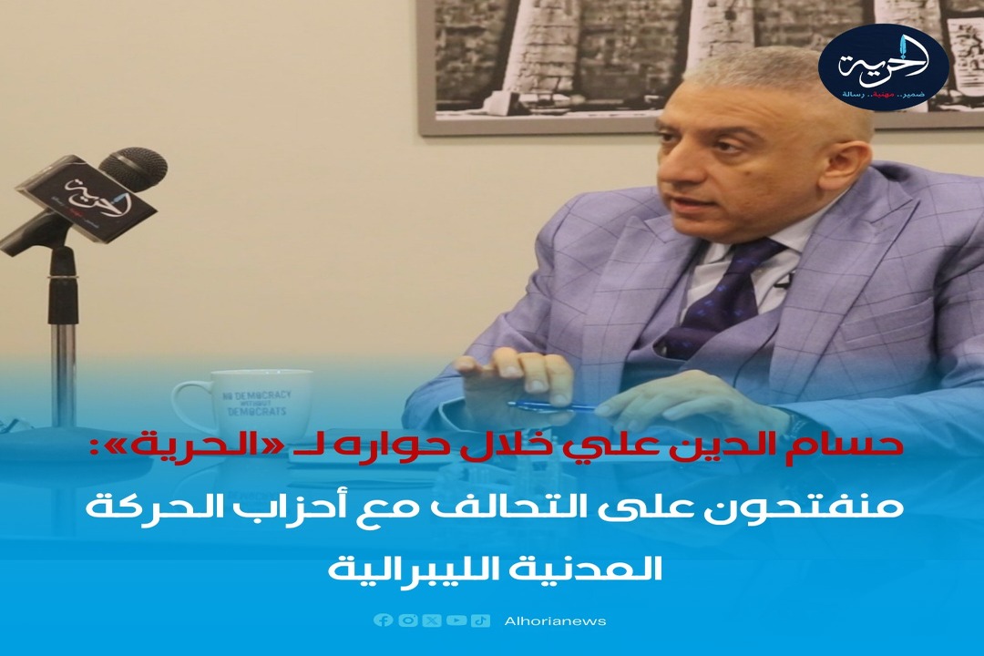 حسام الدين علي