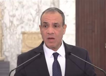 الدكتور بدر عبد العاطي، وزير الخارجية