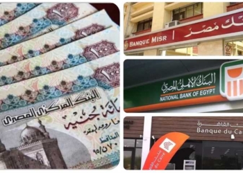 شهادات