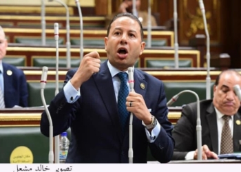 النائب حسن عمار، عضو مجلس النواب