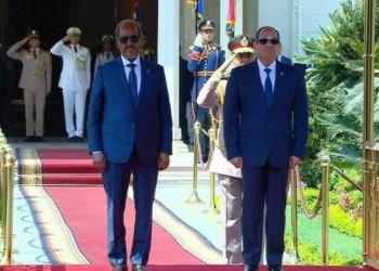 السيسي و.رئيس الصومال