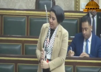 النائبة أميرة صابر
